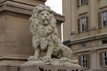 Был в Бергамо, спросил собак о Труфальдино — не знают