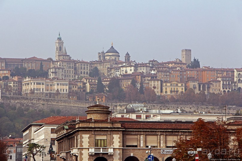 Был в Бергамо, спросил собак о Труфальдино — не знают