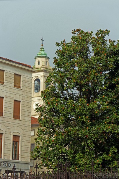 Был в Бергамо, спросил собак о Труфальдино — не знают