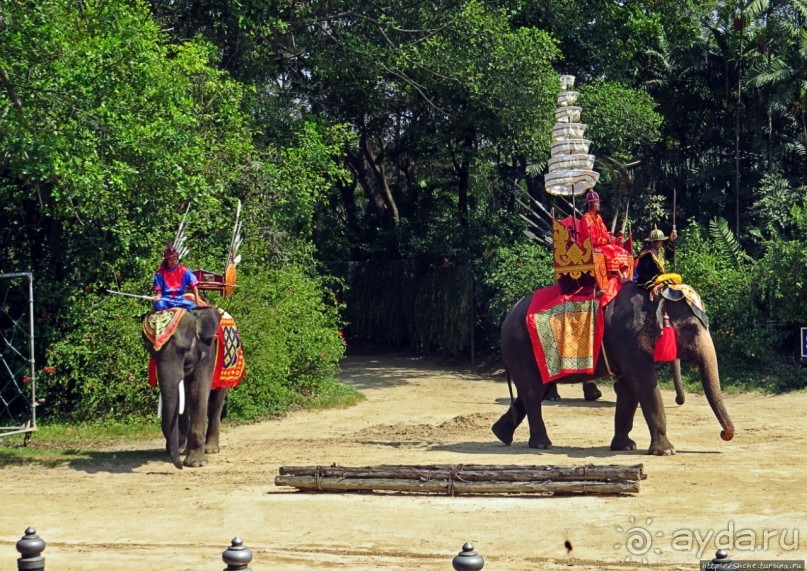Шоу слонов в зоопарке Сампрана