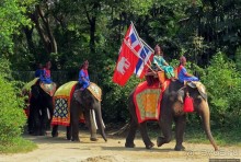 Шоу слонов в зоопарке Сампрана