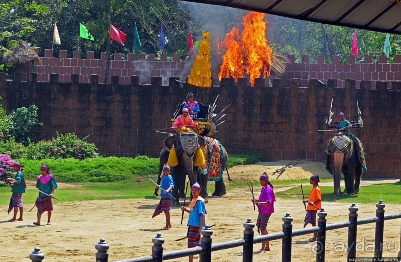 Шоу слонов в зоопарке Сампрана