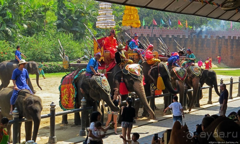 Шоу слонов в зоопарке Сампрана