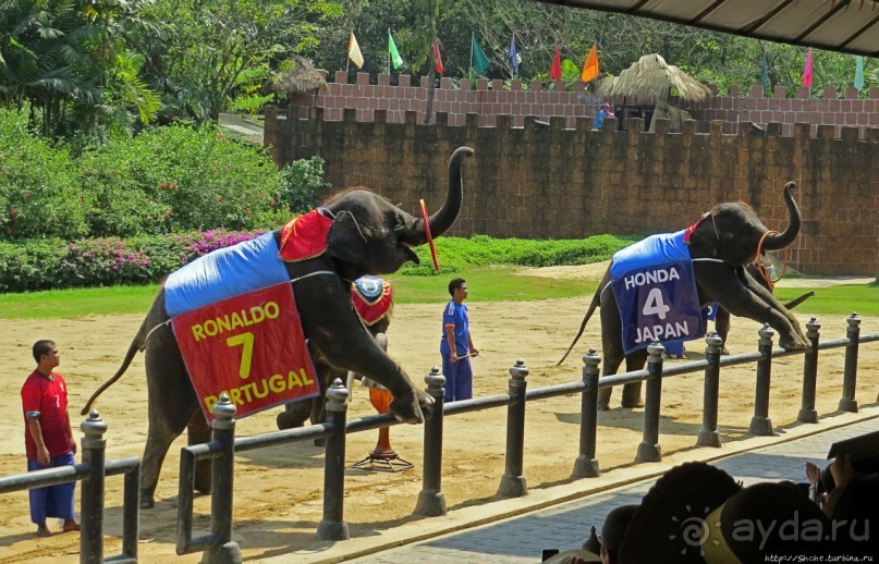 Шоу слонов в зоопарке Сампрана