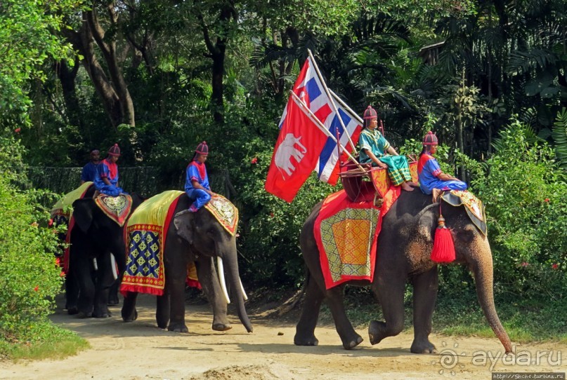 Шоу слонов в зоопарке Сампрана