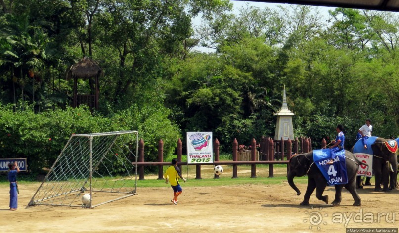 Шоу слонов в зоопарке Сампрана