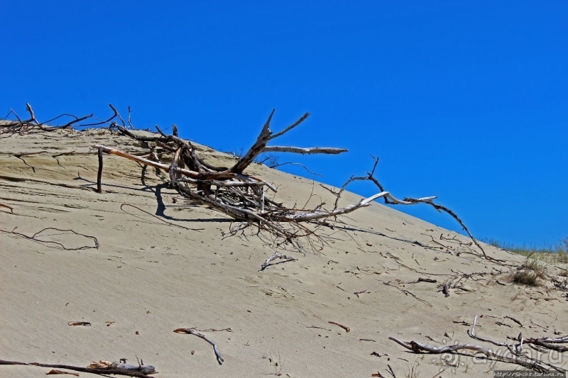 Альбом истории "Дюна Парнидис и литовская "Долина Сметри"