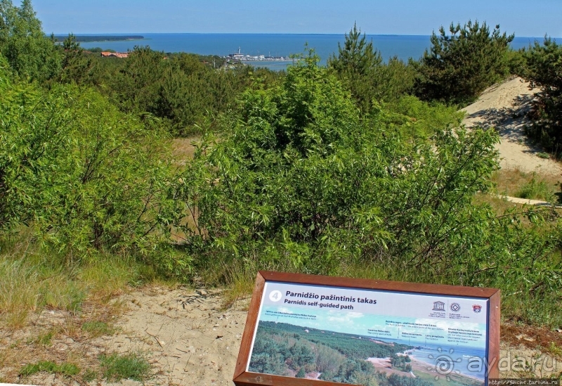 Альбом истории "Дюна Парнидис и литовская "Долина Сметри"