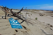 Дюна Парнидис и литовская "Долина Сметри
