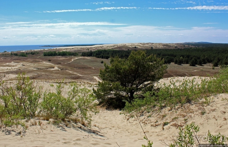 Альбом истории "Дюна Парнидис и литовская "Долина Сметри"