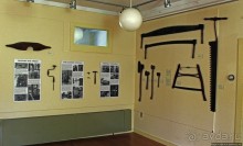 В гостях у Радуги. Проулка по мемориальному лесу Хопкинса