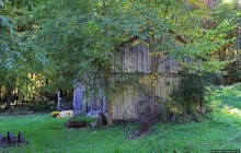 В гостях у Радуги. Проулка по мемориальному лесу Хопкинса