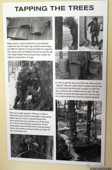 В гостях у Радуги. Проулка по мемориальному лесу Хопкинса