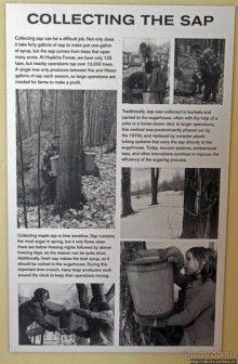 В гостях у Радуги. Проулка по мемориальному лесу Хопкинса