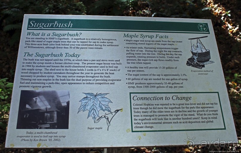 В гостях у Радуги. Проулка по мемориальному лесу Хопкинса