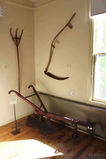 В гостях у Радуги. Проулка по мемориальному лесу Хопкинса