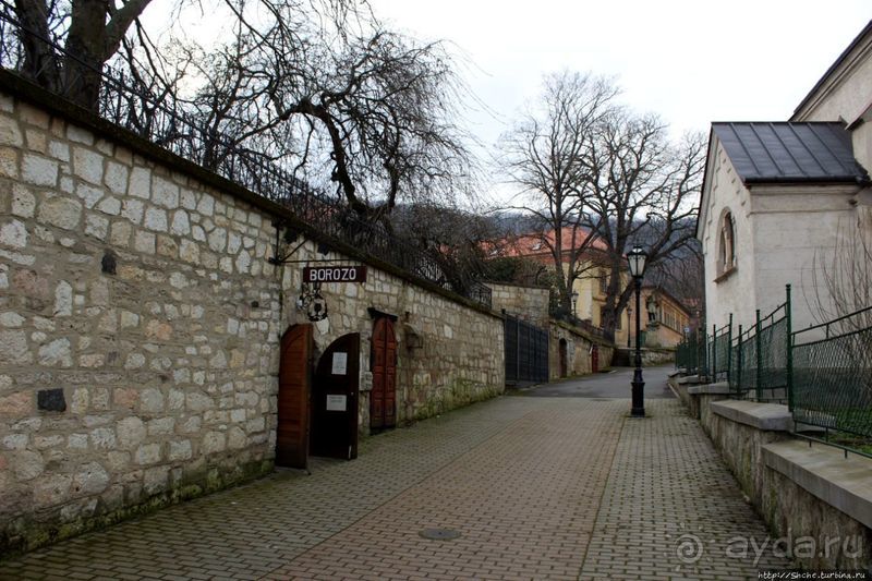 Дегустация токайского в королевском винном погребе Ракоци