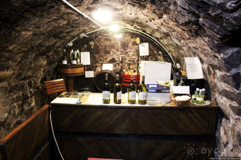 Дегустация токайского в королевском винном погребе Ракоци