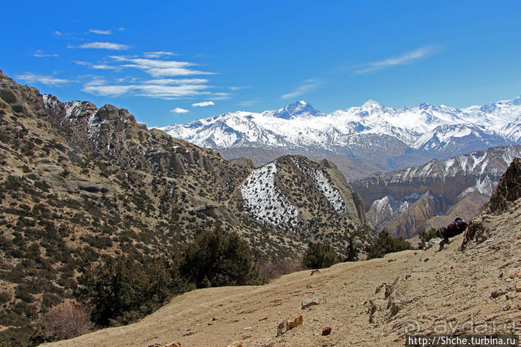 Королевство Ло, Запретное королевство Мустанг — что и как