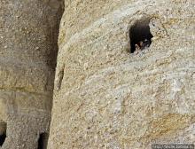 Королевство Ло, Запретное королевство Мустанг — что и как