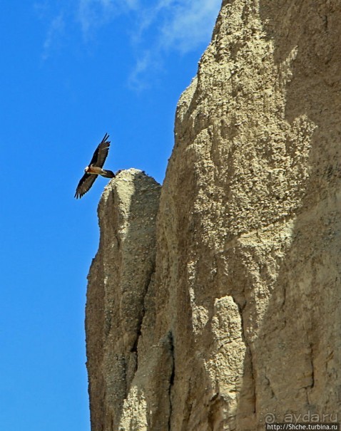 Королевство Ло, Запретное королевство Мустанг — что и как