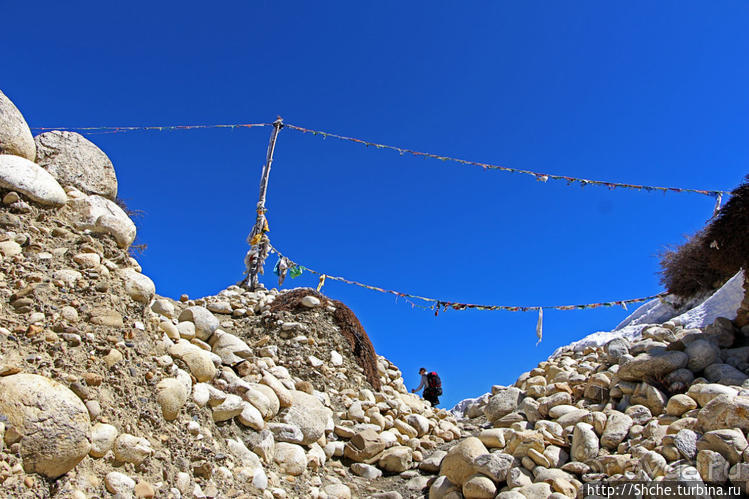 Королевство Ло, Запретное королевство Мустанг — что и как