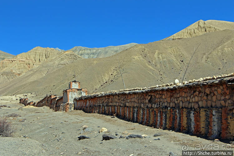 Альбом отзыва "Королевство Ло, Запретное королевство Мустанг — что и как"