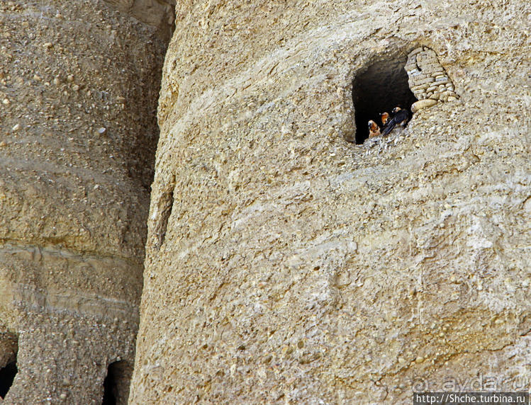 Альбом отзыва "Королевство Ло, Запретное королевство Мустанг — что и как"