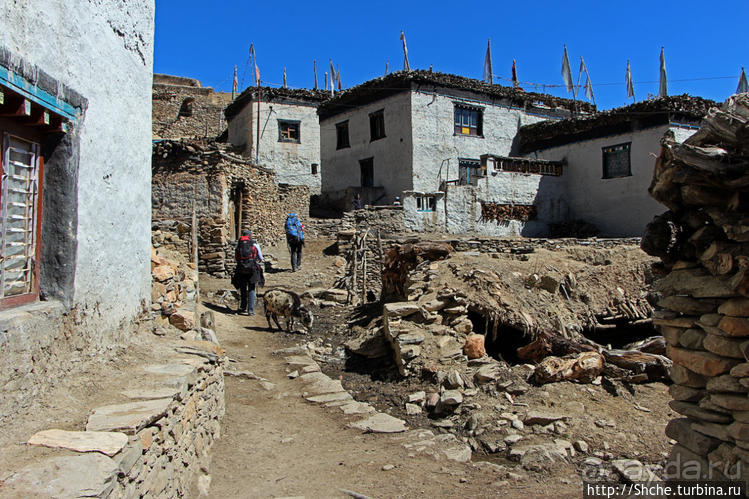 Королевство Ло, Запретное королевство Мустанг — что и как
