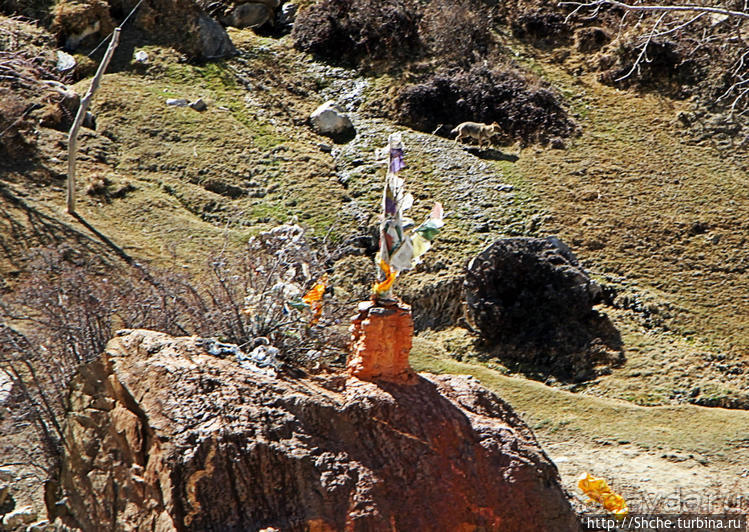 Альбом отзыва "Королевство Ло, Запретное королевство Мустанг — что и как"