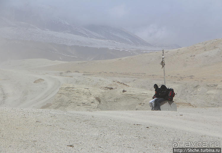 Альбом отзыва "Королевство Ло, Запретное королевство Мустанг — что и как"