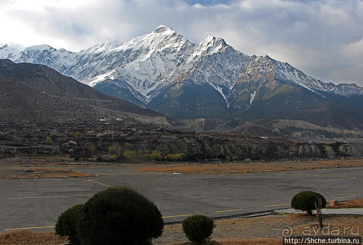 Альбом отзыва "Королевство Ло, Запретное королевство Мустанг — что и как"