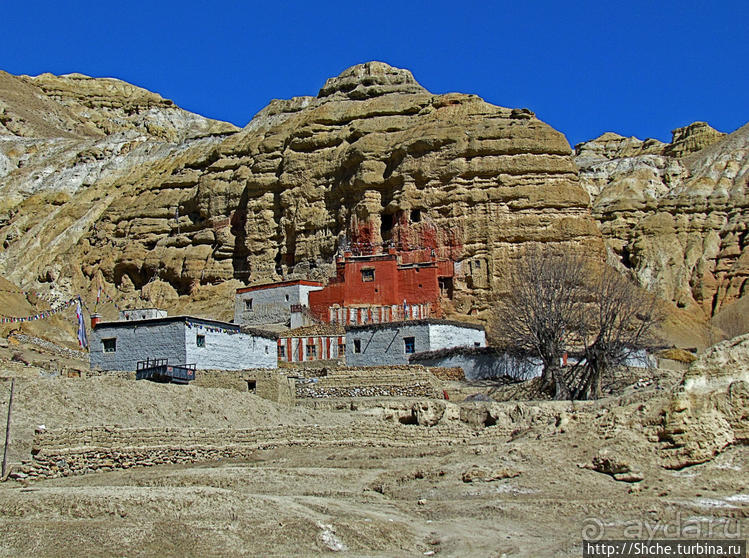 Альбом отзыва "Королевство Ло, Запретное королевство Мустанг — что и как"