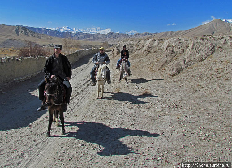 Альбом отзыва "Королевство Ло, Запретное королевство Мустанг — что и как"