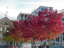 Знакомство с Хельсингборгом начинается с набережной