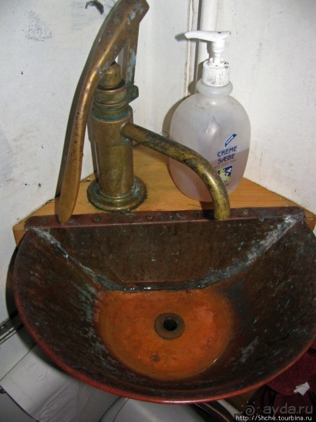 Тупики - паффины (puffin) в бухте Хусавик. Птичек...жалко