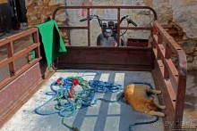 Марокканский колорит внутри старой португальской крепости