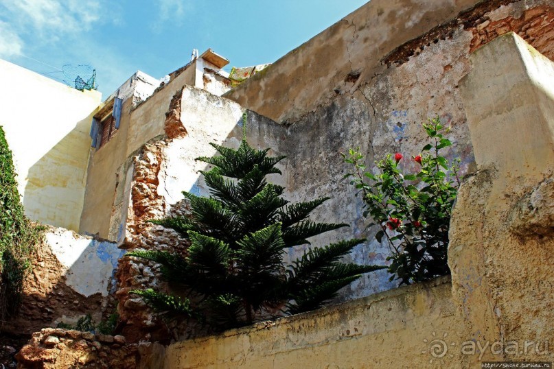 Марокканский колорит внутри старой португальской крепости
