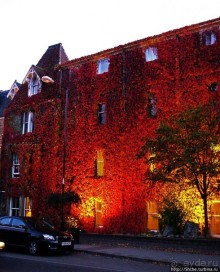 Короткое случайное знакомство с сумеречным Питлохри