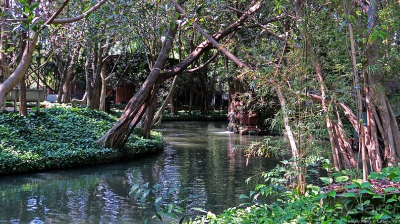 На денек из шумного Бангкока — 2 : зоопарк и яркие шоу