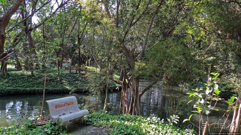 На денек из шумного Бангкока — 2 : зоопарк и яркие шоу