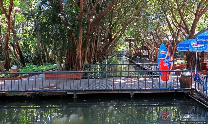 На денек из шумного Бангкока — 2 : зоопарк и яркие шоу