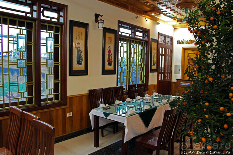 Попили кровушки кобриной, отведали мяска гадиного (18+)