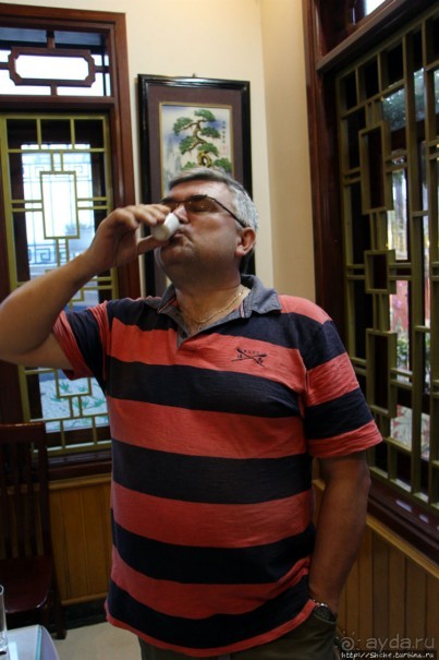 Попили кровушки кобриной, отведали мяска гадиного (18+)