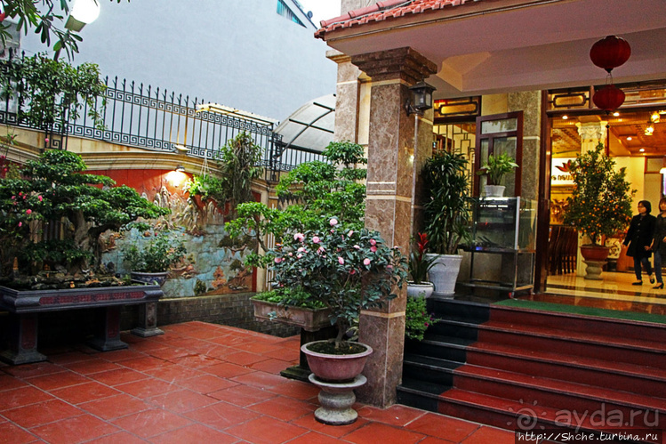 Попили кровушки кобриной, отведали мяска гадиного (18+)