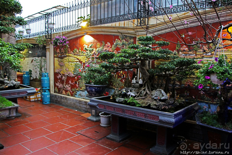 Попили кровушки кобриной, отведали мяска гадиного (18+)