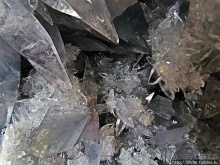 Ископаемые моллюски, камни и живые черепахи в музее камней