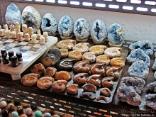 Ископаемые моллюски, камни и живые черепахи в музее камней