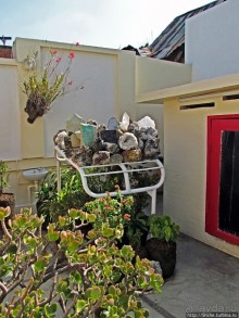 Ископаемые моллюски, камни и живые черепахи в музее камней