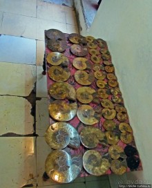 Ископаемые моллюски, камни и живые черепахи в музее камней